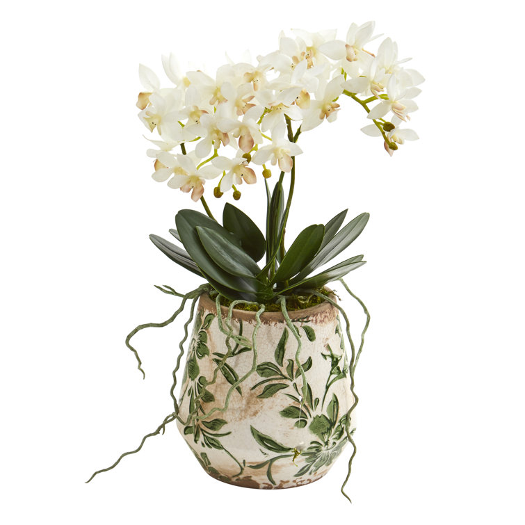 Ophelia & Co. Artificial Orchids Floral Arrangement in Vase & Reviews